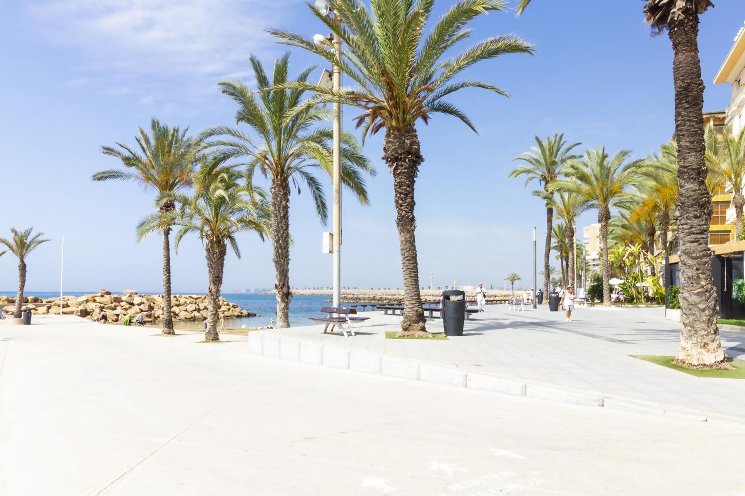 Apartamento Pink Azure Torrevieja Exteriör bild